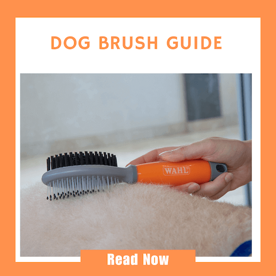 Click here to read our Dog Brush Guide