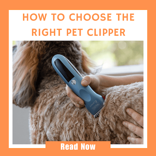 Click here to read our article on How to Choose the Right Pet Clipper