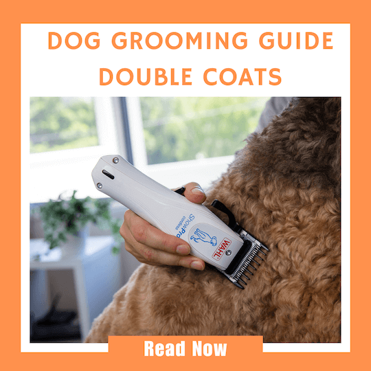 Click here to read our Dog Grooming Guide for pets with double coats